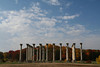 SmugMug > keywords > national arboretum > Columns in Autumn