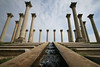 SmugMug > keywords > national arboretum > Looking Up