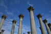 SmugMug > keywords > national arboretum > Holding up the Sky