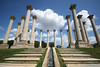 SmugMug > keywords > national arboretum > Looking up at the Clouds